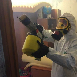 Уничтожение клопов в квартире. Салават